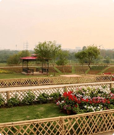 REKHTA BAZAAR